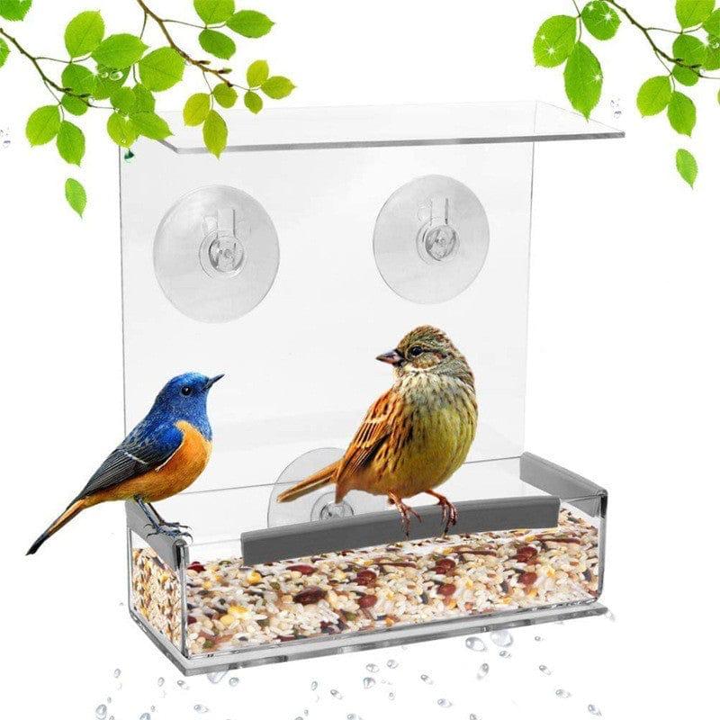 Acrylic Window Bird Feeder