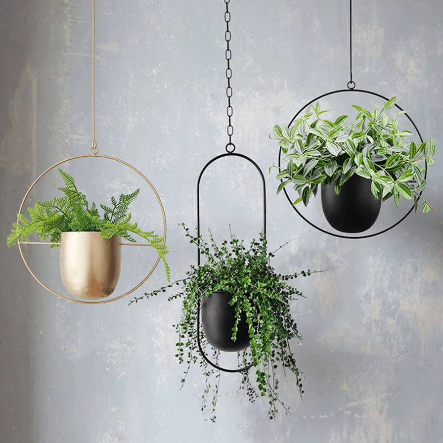 metal hanging basket planter Hanging Planter, Hanging Planters for Indoor and Outdoor Plants, Modern Wall Vase, Minimalist Flower Pot Holder – HomeRelaxOfficial