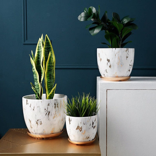 Ceramic Marble Pattern Flower Pot - HomeRelaxOfficial