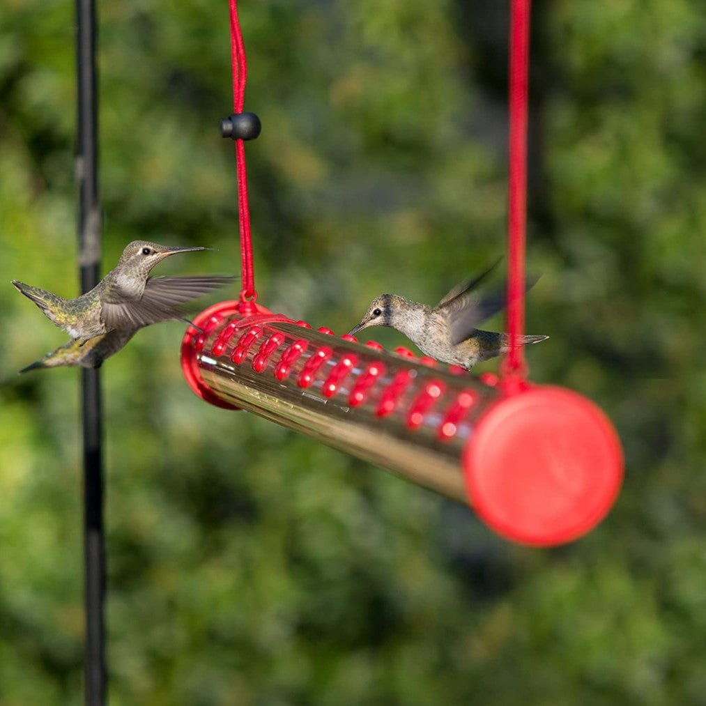 Hanging Tube Hummingbird Feeder