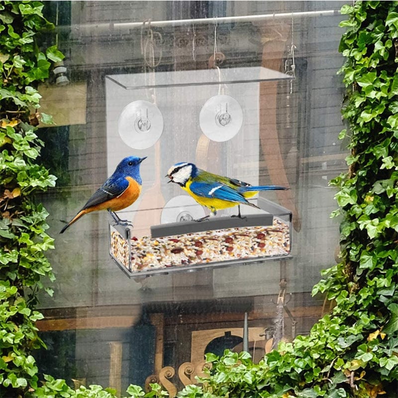 Acrylic Window Bird Feeder