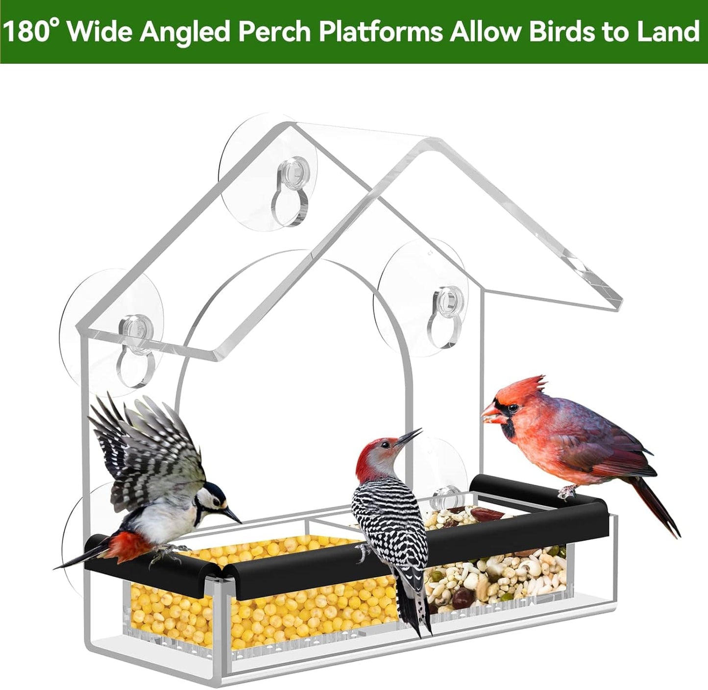 Window Bird Feeder With Strong Suction Cups