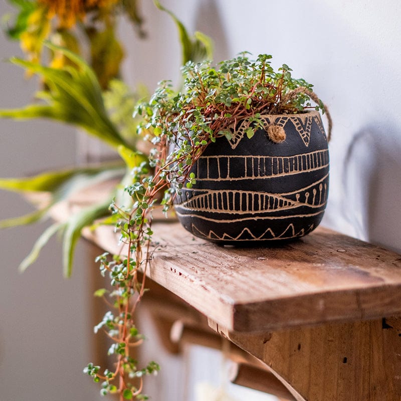 hanging succulent planters Hanging Succulent Planter