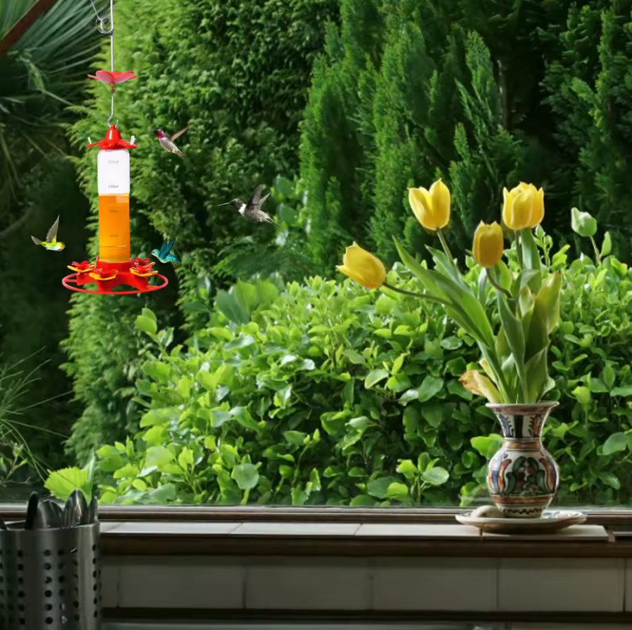 Hanging Hummingbird Feeder | Anti Ant Design