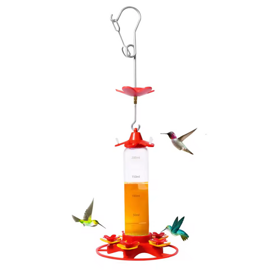 Hanging Hummingbird Feeder | Anti Ant Design