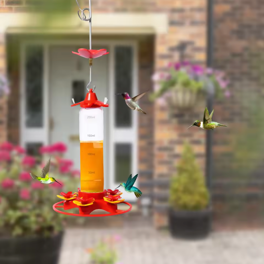 Hanging Hummingbird Feeder | Anti Ant Design