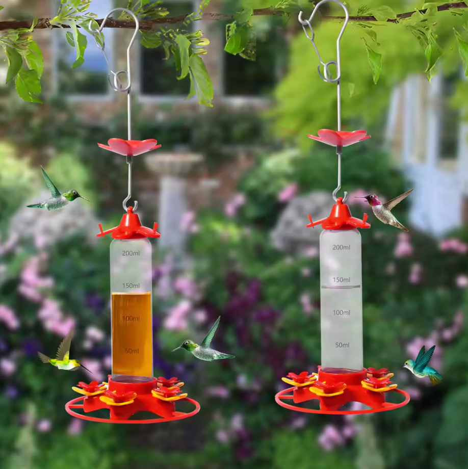 Hanging Hummingbird Feeder | Anti Ant Design