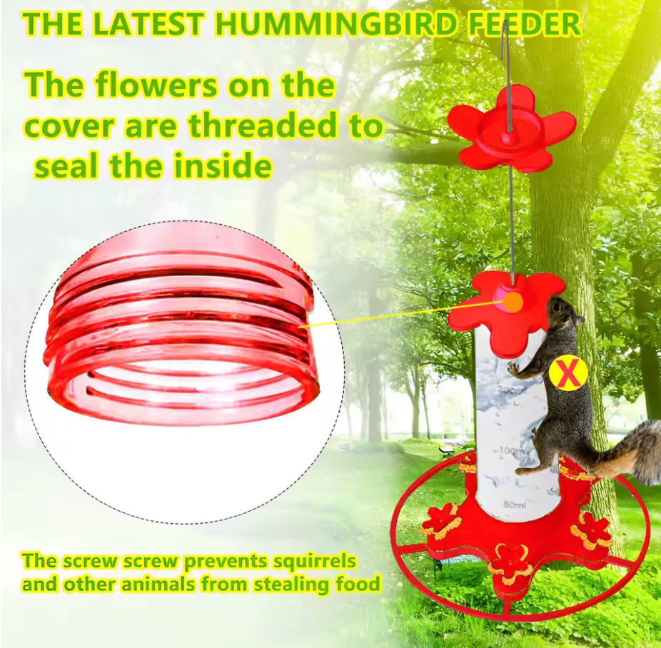 Hanging Hummingbird Feeder | Anti Ant Design