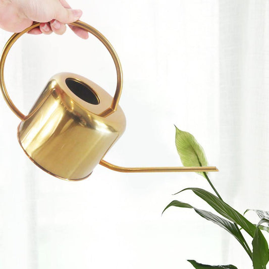 Vintage Brass Watering Can with Gooseneck Spout, Large 1300ml Indoor and Outdoor Plant Watering Can