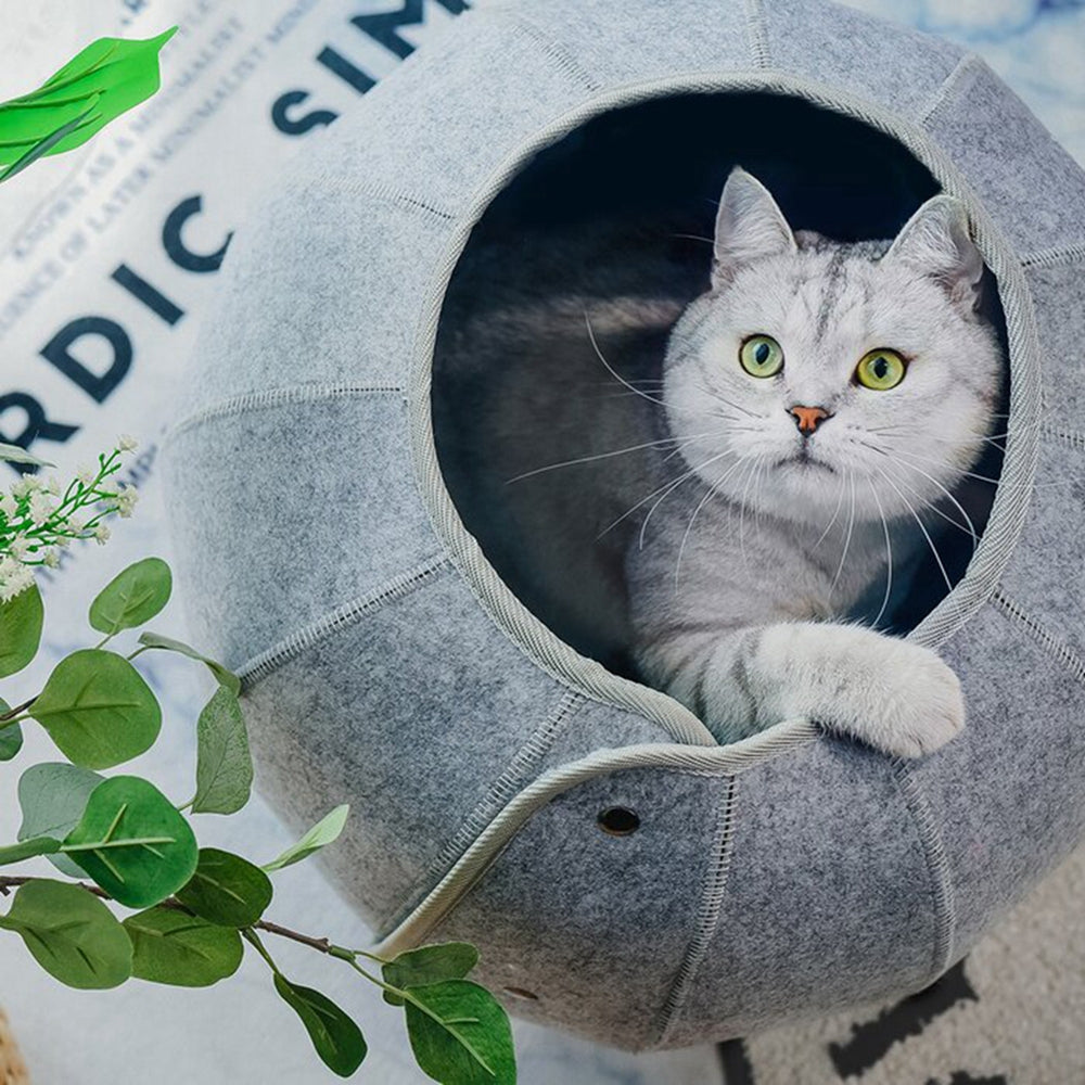 PurrHaven - Foldable Cat Cave & Tunnel Bed