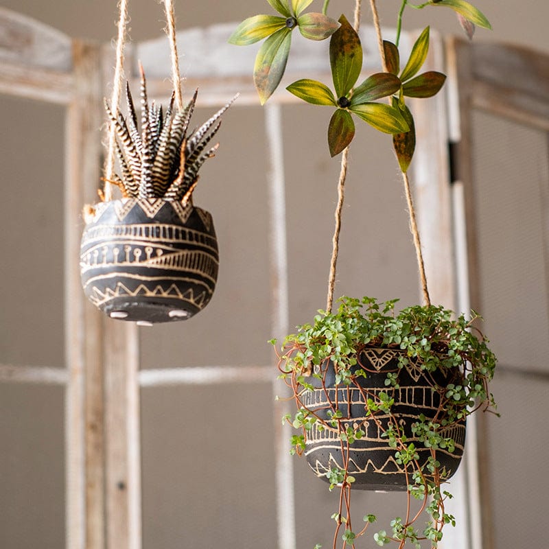 Hanging Succulent Planter