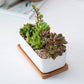 Succulent Planters Flower Pot Bamboo Set - Vases - HomeRelaxOfficial