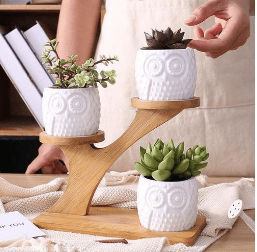 Owl Wooden Tree - Vases - HomeRelaxOfficial