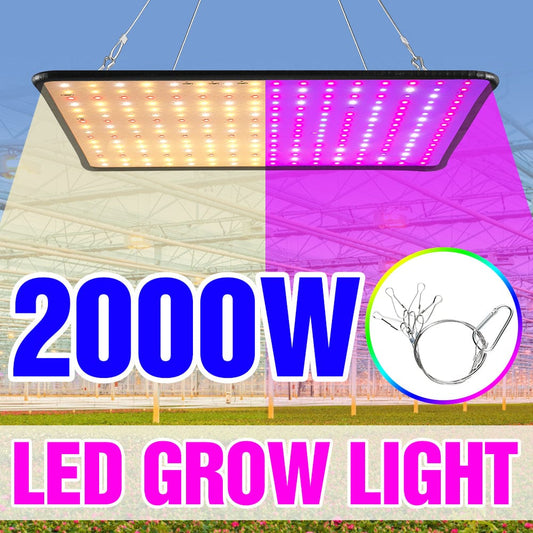 LED Plant Grow Light - HomeRelaxOfficial