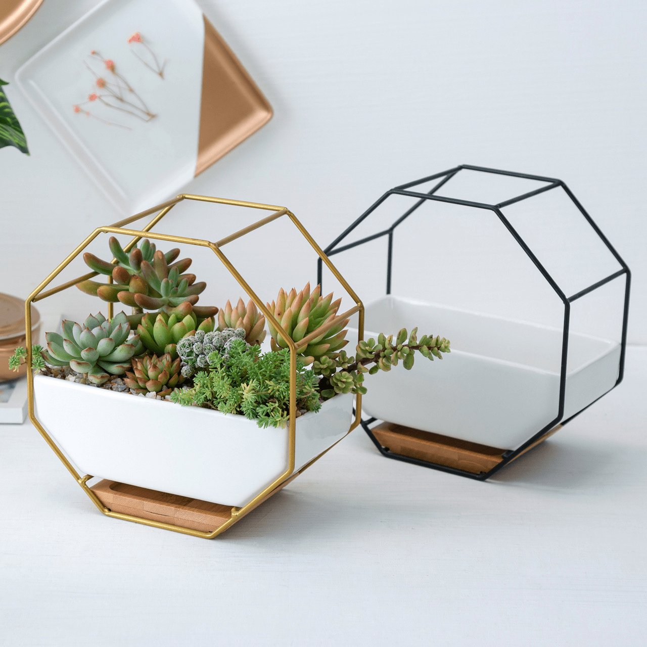 Nordic Octagonal Wall Hanging Vase - 1x Black + 1x Gold ($20 OFF) - Vases - HomeRelaxOfficial