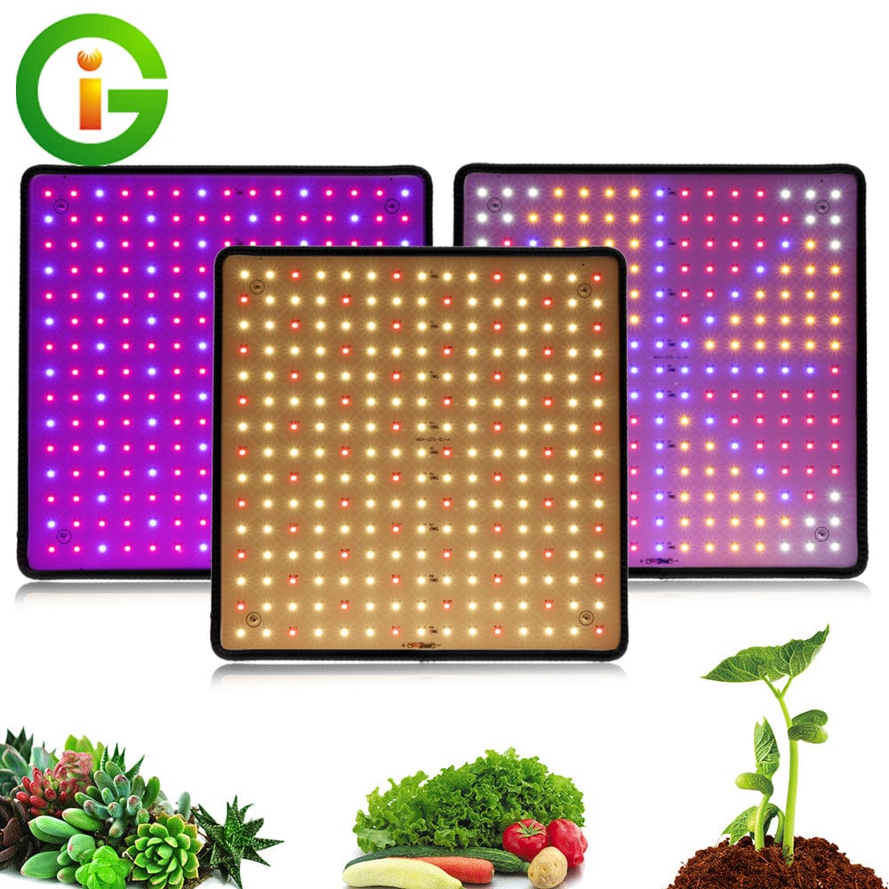 1000W LED Grow Light Panel - HomeRelaxOfficial