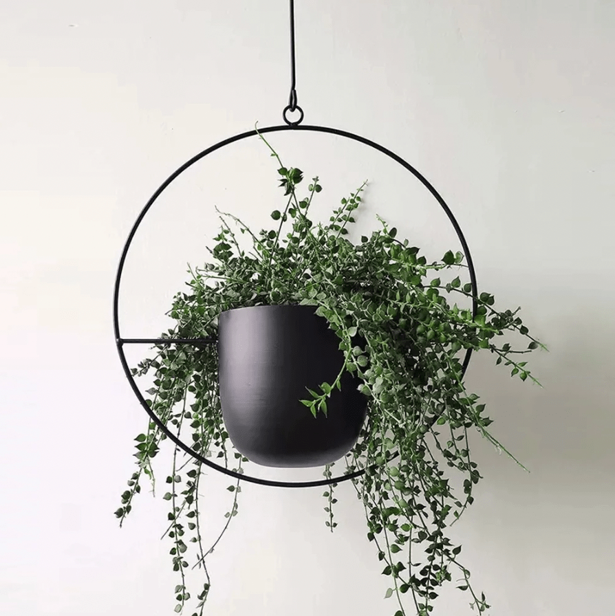 metal chain plant hanger Hanging Planter, Hanging Planters for Indoor and Outdoor Plants, Modern Wall Vase, Minimalist Flower Pot Holder – HomeRelaxOfficial