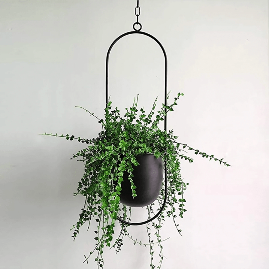 hanging planter black metal Hanging Planter, Hanging Planters for Indoor and Outdoor Plants, Modern Wall Vase, Minimalist Flower Pot Holder – HomeRelaxOfficial