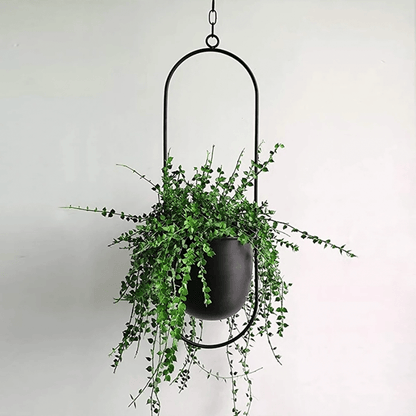 Metal Hanging Planter - Black Oval - 0 - HomeRelaxOfficial