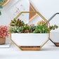 Nordic Octagonal Wall Hanging Vase - Gold - Vases - HomeRelaxOfficial