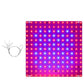 LED Plant Grow Light - 169 LEDs - HomeRelaxOfficial