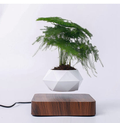 Hover Planter - Vases - HomeRelaxOfficial