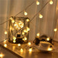 Fairy LED Globe String Lights - HomeRelaxOfficial