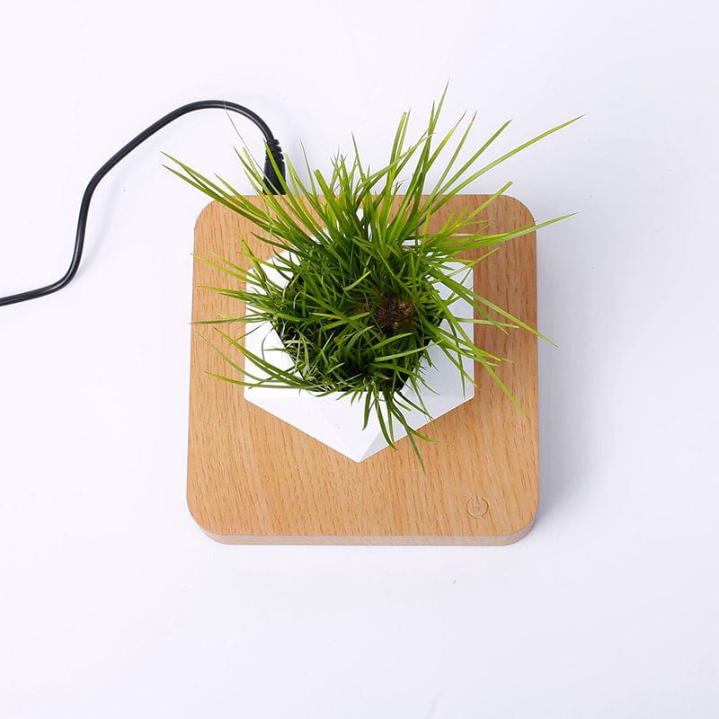 Hover Planter - Vases - HomeRelaxOfficial